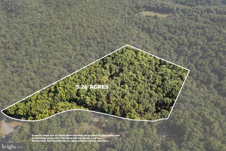 393 Timber Run Road Mathias, WV 26812 - Photo 9 of 31