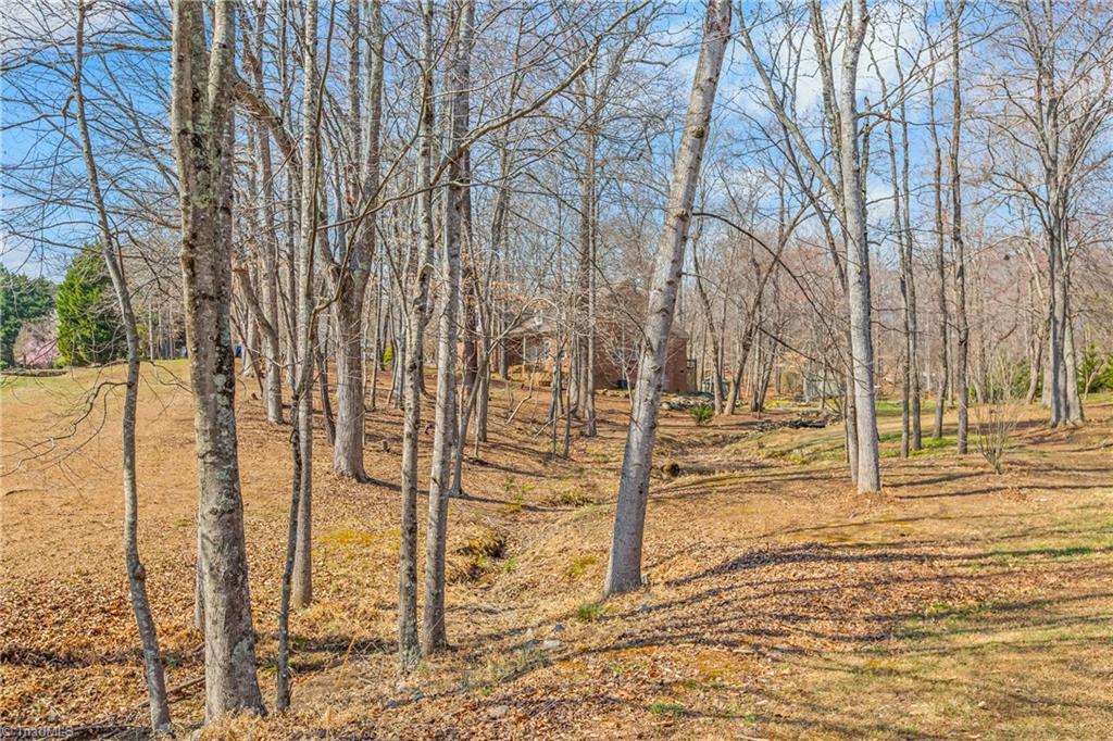 8300 Trottington Road Stokesdale, NC 27357 - Photo 49 of 50