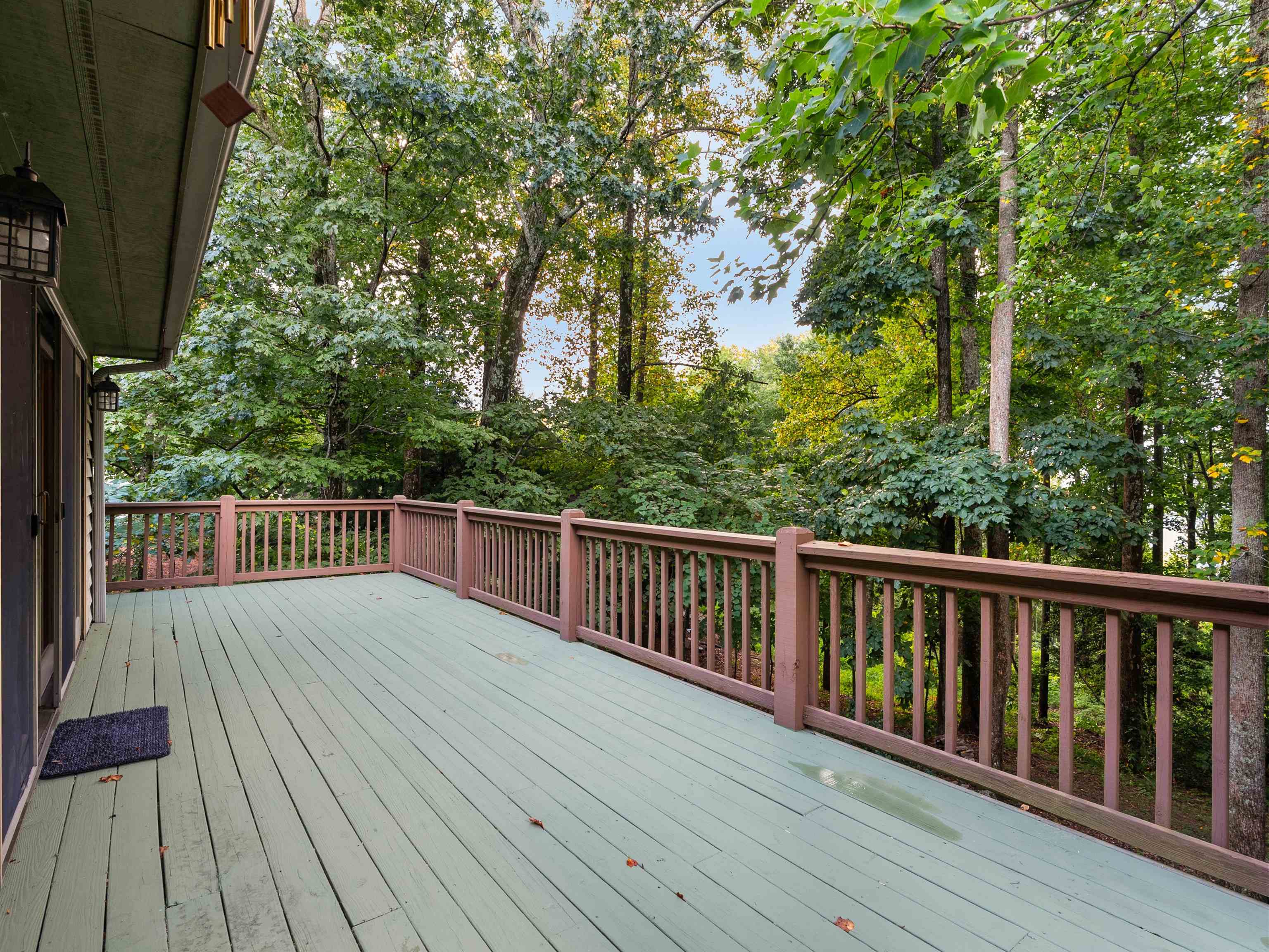 3 Rocky Gap Court Landrum, SC 29356 - Photo 21 of 28