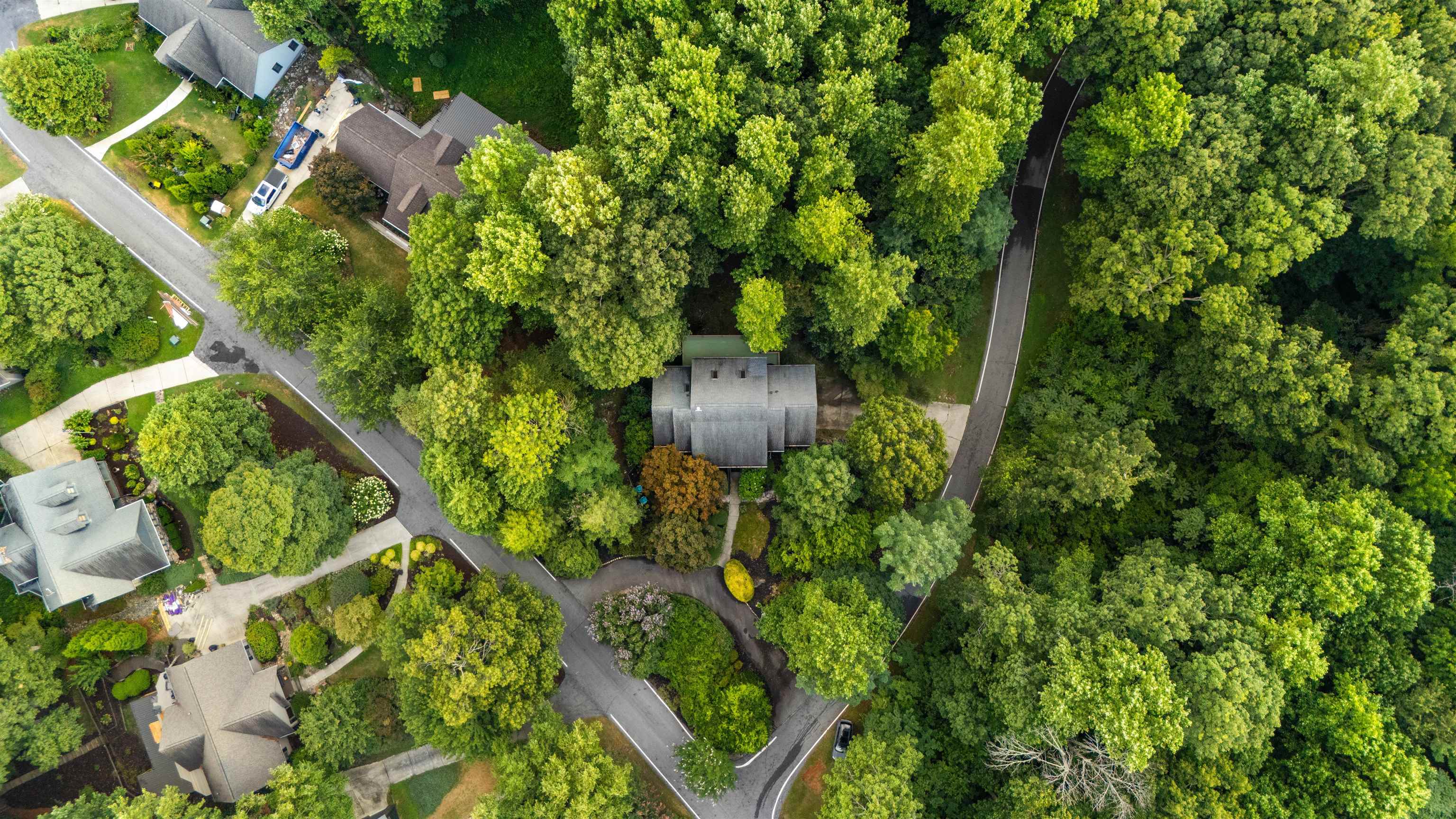 3 Rocky Gap Court Landrum, SC 29356 - Photo 26 of 28