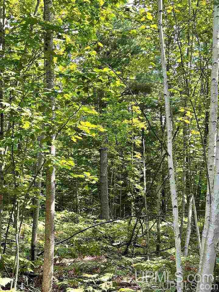Tbd Timber Creek Road Marquette, MI 49855 - Photo 5 of 14