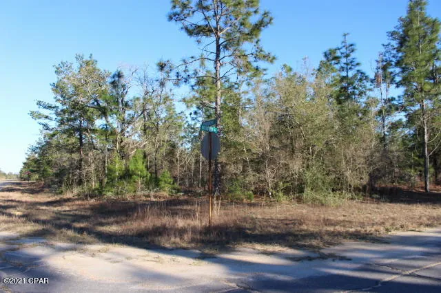 $14,900 | 0 Rockford Drive, Unit LOT 5, Chipley, FL 32428