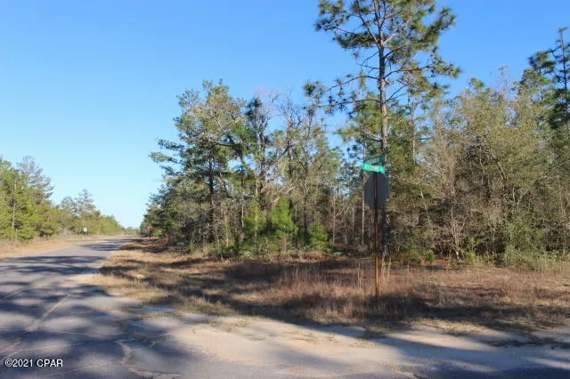 $14,900 | 0 Rockford Drive, Unit LOT 5, Chipley, FL 32428