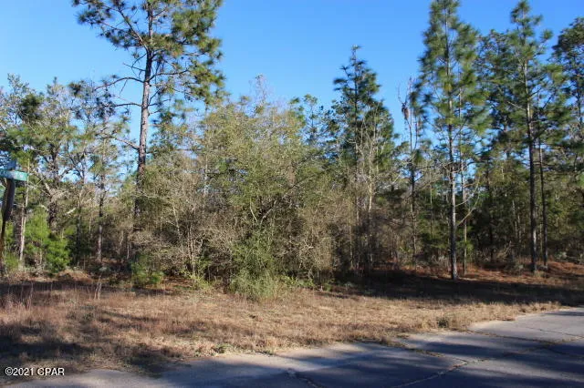 $14,900 | 0 Rockford Drive, Unit LOT 5, Chipley, FL 32428