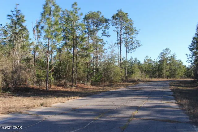 $14,900 | 0 Rockford Drive, Unit LOT 5, Chipley, FL 32428