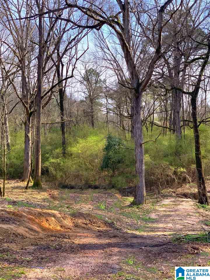 2101 Windcroft Road, Unit 1 Bessemer, AL 35023 - Photo 2 of 3