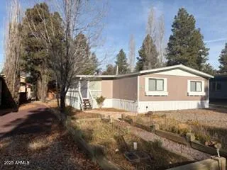 a front view of a house with a yard covered with snow and trees