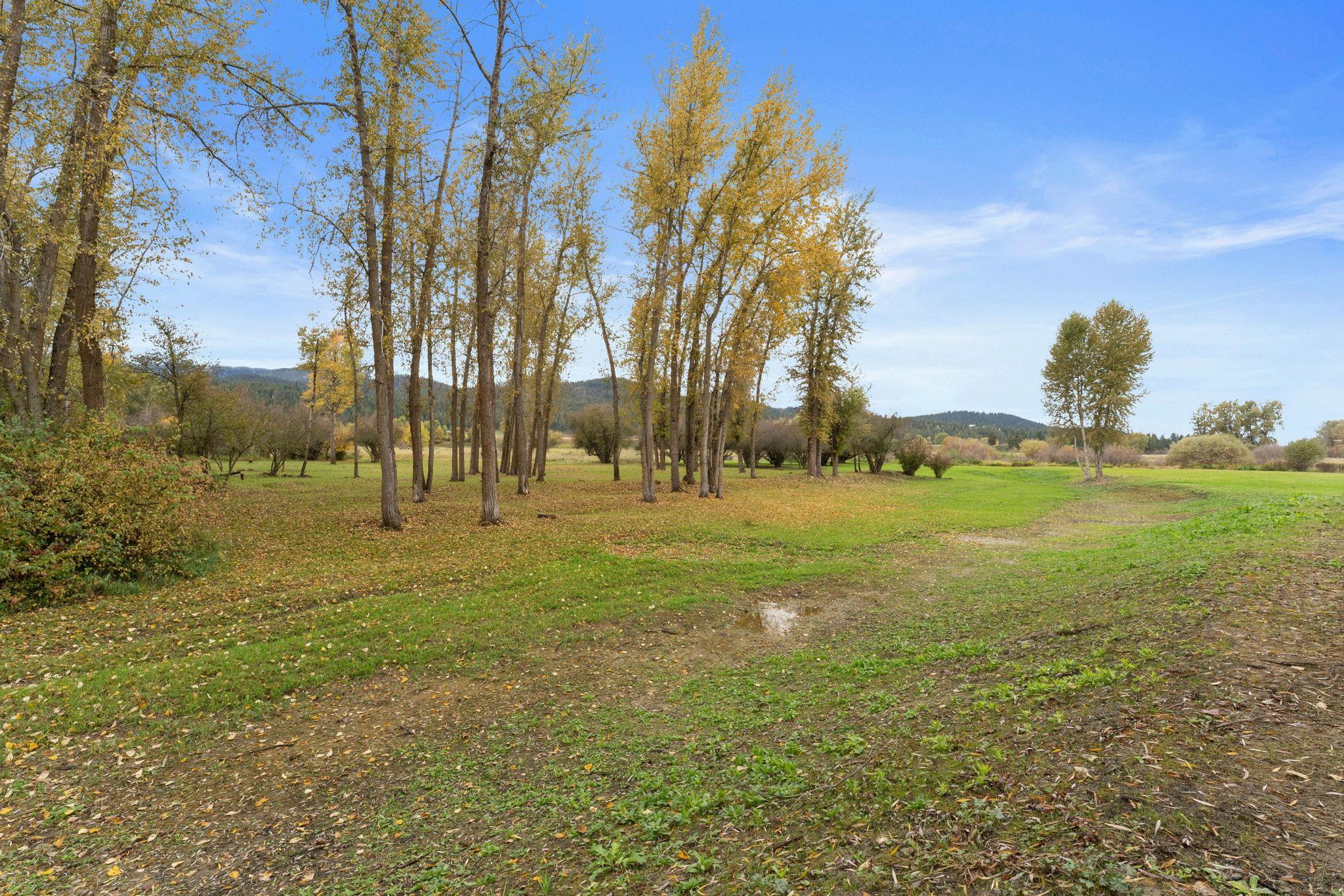 461 Auto View Road Colville, WA 99114 - Photo 36 of 46