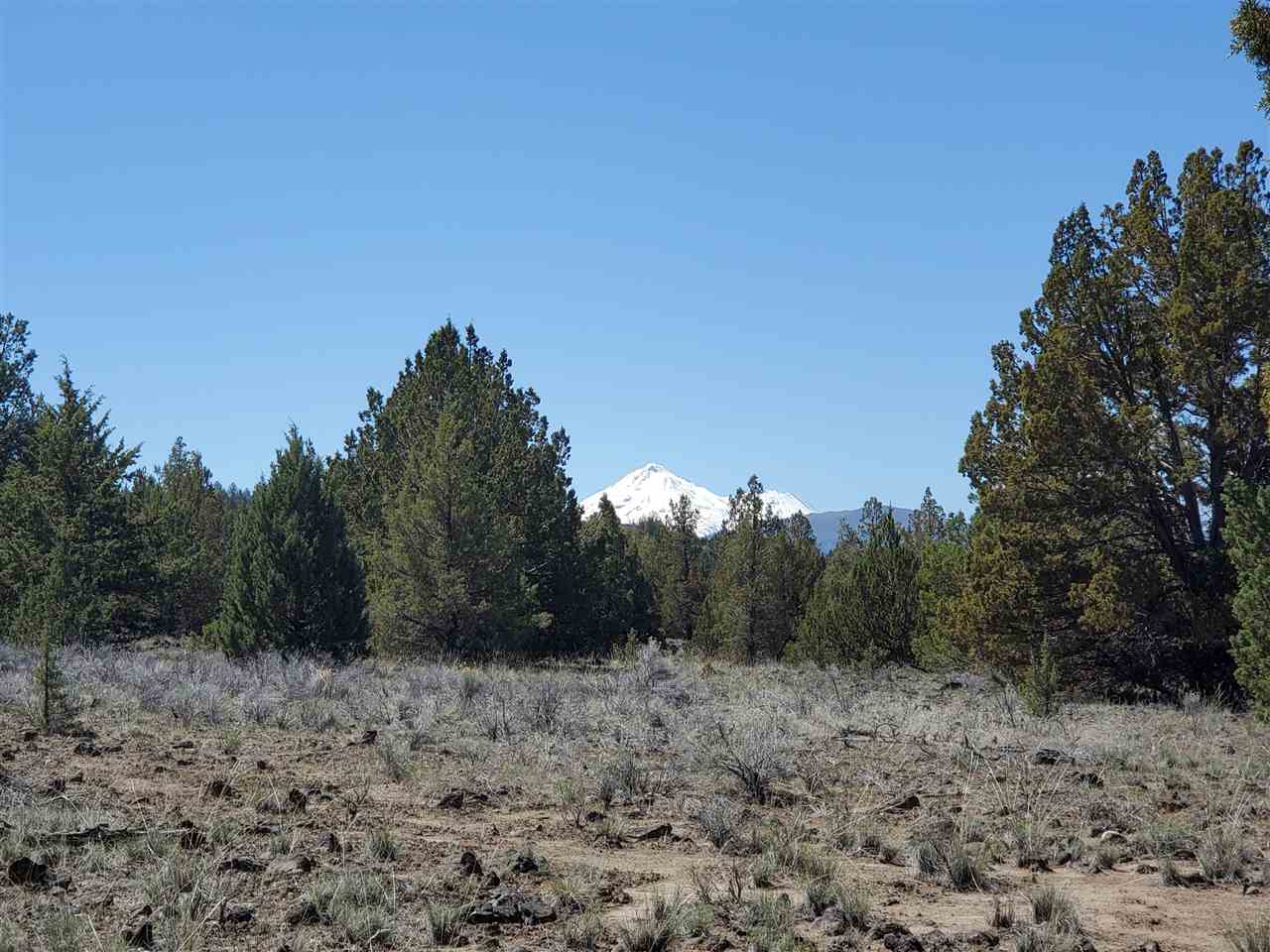 Off Homeland Rd Off Homeland Road Macdoel, CA 96058 - Photo 2 of 24 Gallery Image 2