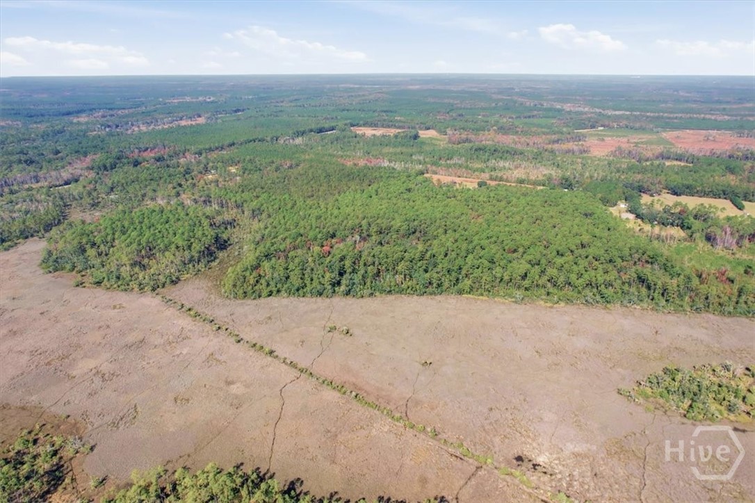 1 Northeast Fair Hope Road Townsend, GA 31331 - Photo 11 of 23