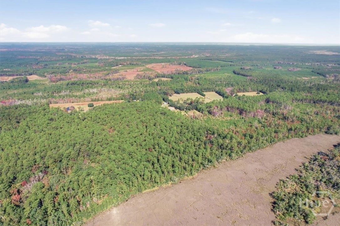 1 Northeast Fair Hope Road Townsend, GA 31331 - Photo 12 of 23