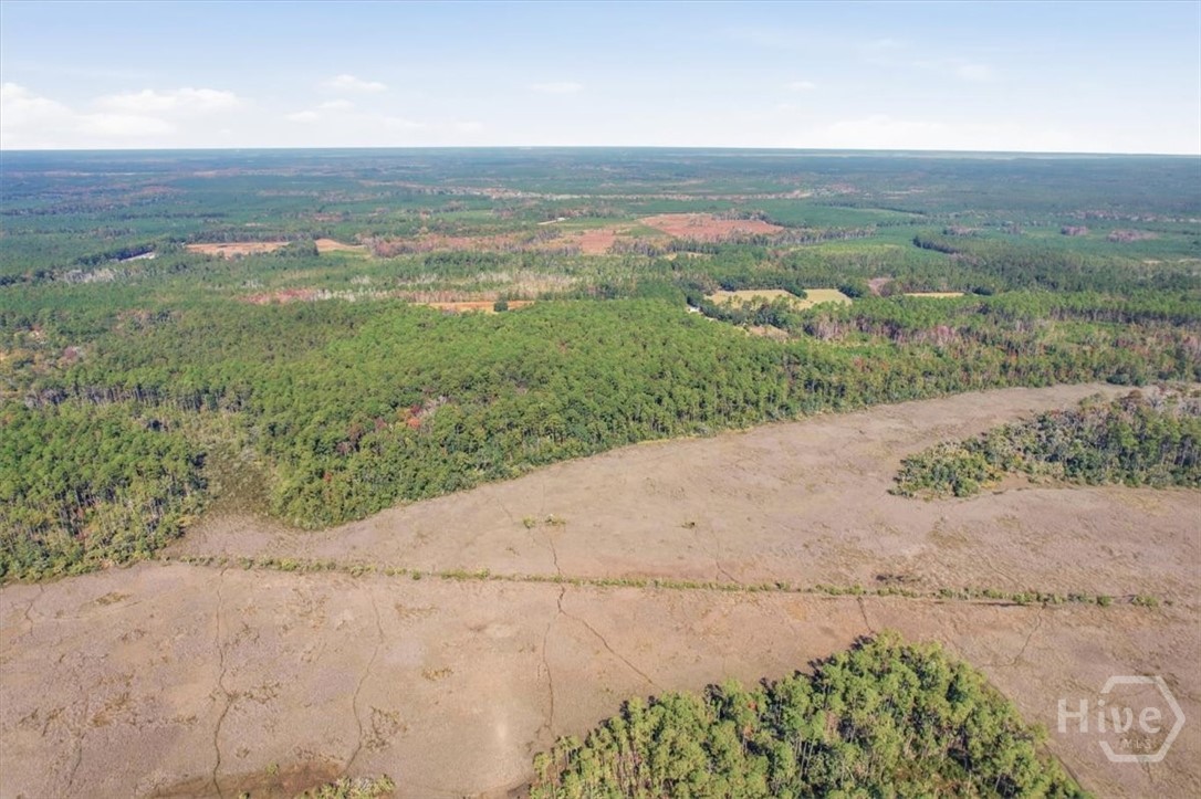 1 Northeast Fair Hope Road Townsend, GA 31331 - Photo 13 of 23