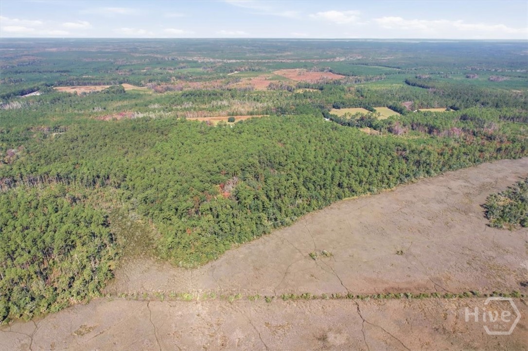 1 Northeast Fair Hope Road Townsend, GA 31331 - Photo 14 of 23