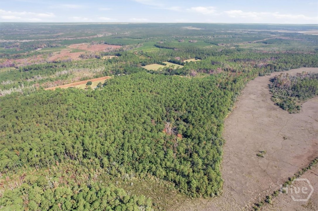 1 Northeast Fair Hope Road Townsend, GA 31331 - Photo 15 of 23