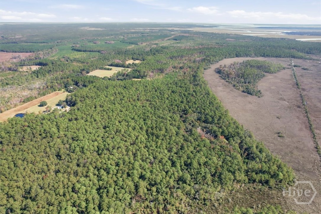 1 Northeast Fair Hope Road Townsend, GA 31331 - Photo 16 of 23