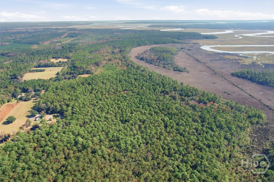 1 Northeast Fair Hope Road Townsend, GA 31331 - Photo 17 of 23