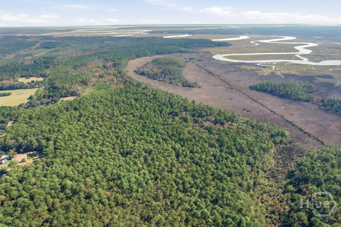 1 Northeast Fair Hope Road Townsend, GA 31331 - Photo 18 of 23