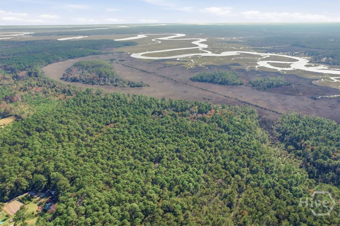 1 Northeast Fair Hope Road Townsend, GA 31331 - Photo 19 of 23