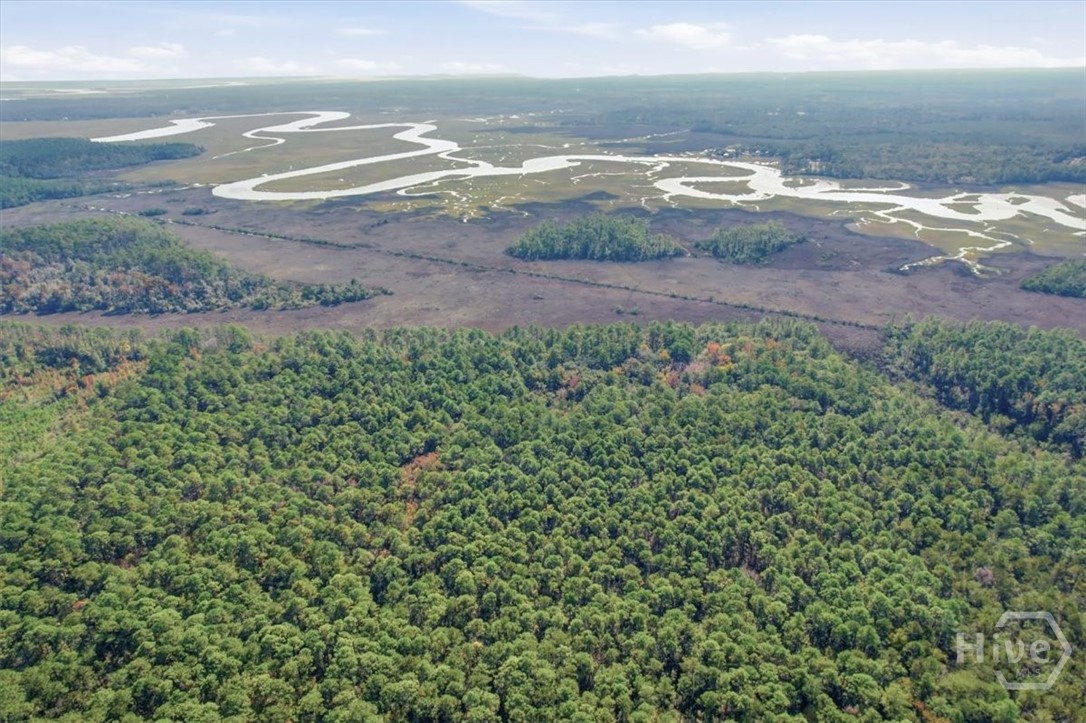 1 Northeast Fair Hope Road Townsend, GA 31331 - Photo 20 of 23