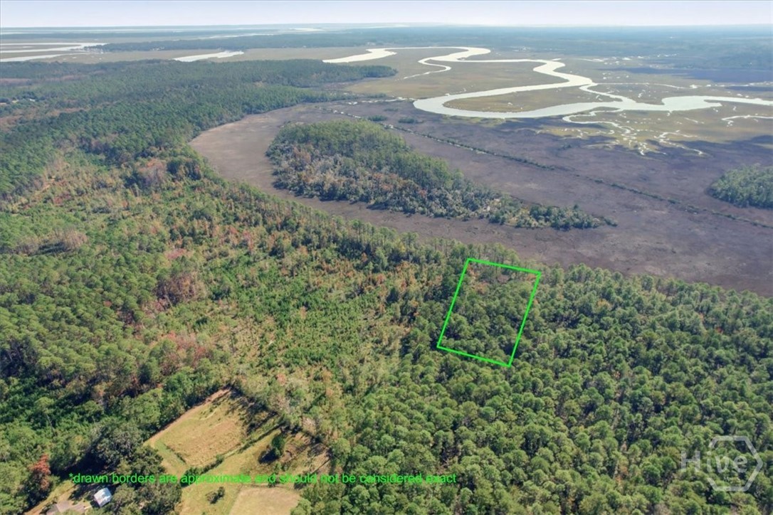 1 Northeast Fair Hope Road Townsend, GA 31331 - Photo 2 of 23