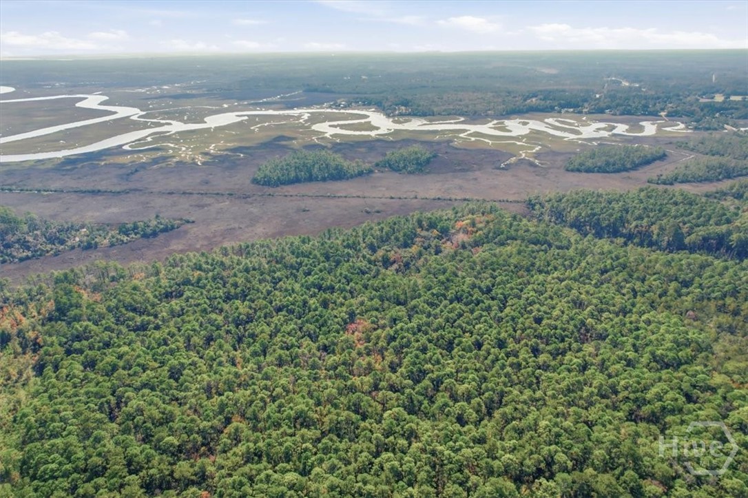 1 Northeast Fair Hope Road Townsend, GA 31331 - Photo 21 of 23