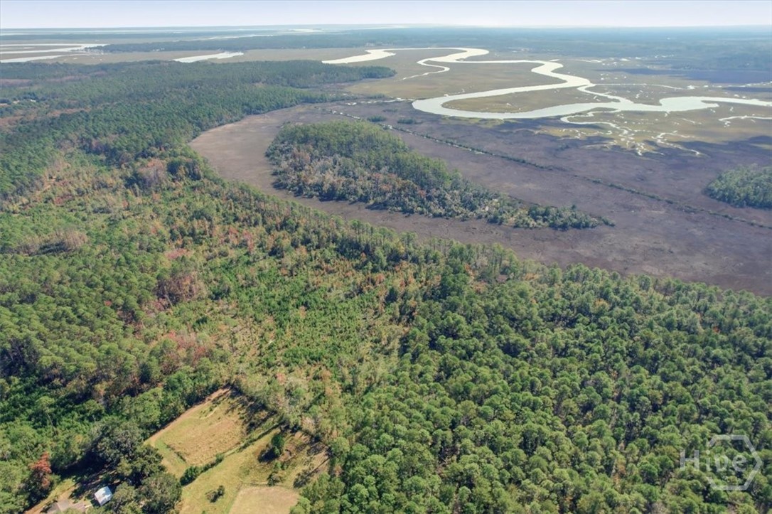 1 Northeast Fair Hope Road Townsend, GA 31331 - Photo 22 of 23