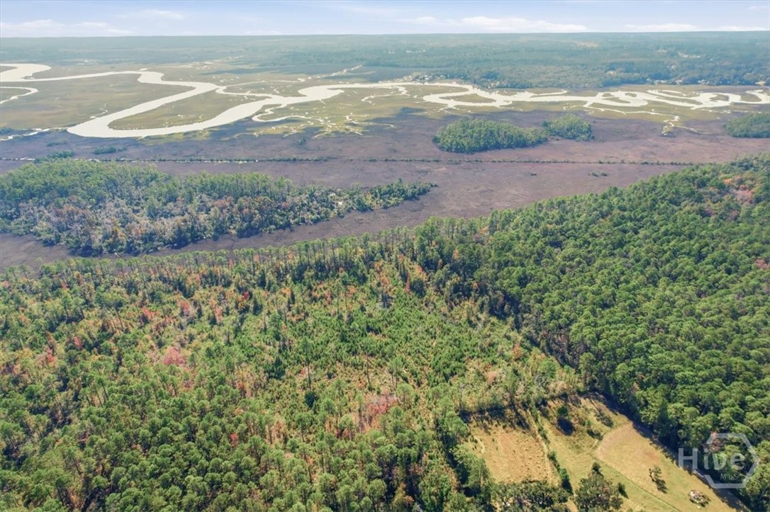 1 Northeast Fair Hope Road Townsend, GA 31331 - Photo 23 of 23