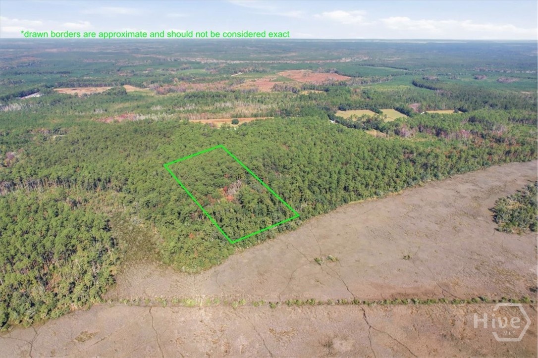 1 Northeast Fair Hope Road Townsend, GA 31331 - Photo 3 of 23