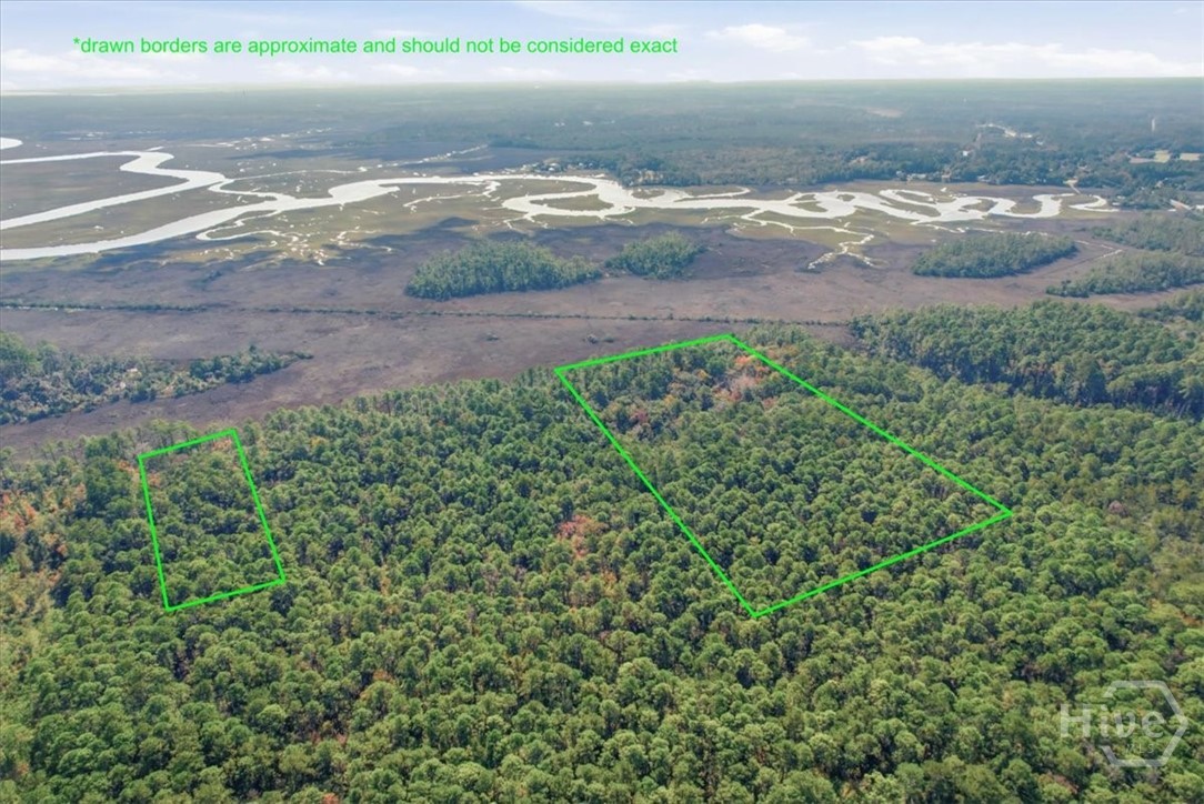 1 Northeast Fair Hope Road Townsend, GA 31331 - Photo 4 of 23