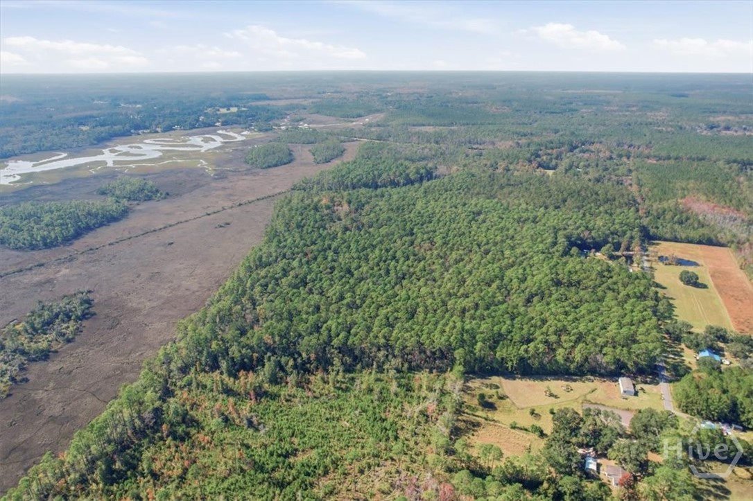 1 Northeast Fair Hope Road Townsend, GA 31331 - Photo 5 of 23