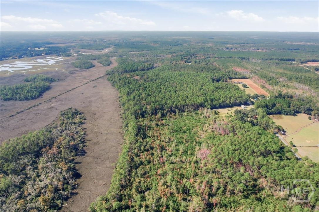 1 Northeast Fair Hope Road Townsend, GA 31331 - Photo 7 of 23