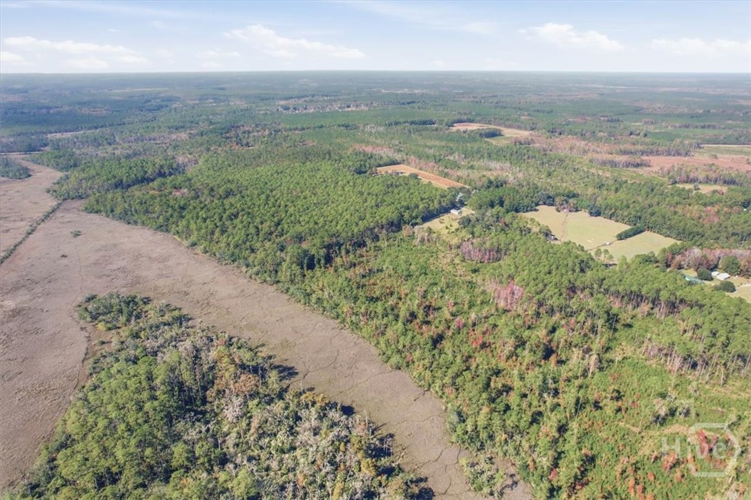 1 Northeast Fair Hope Road Townsend, GA 31331 - Photo 8 of 23