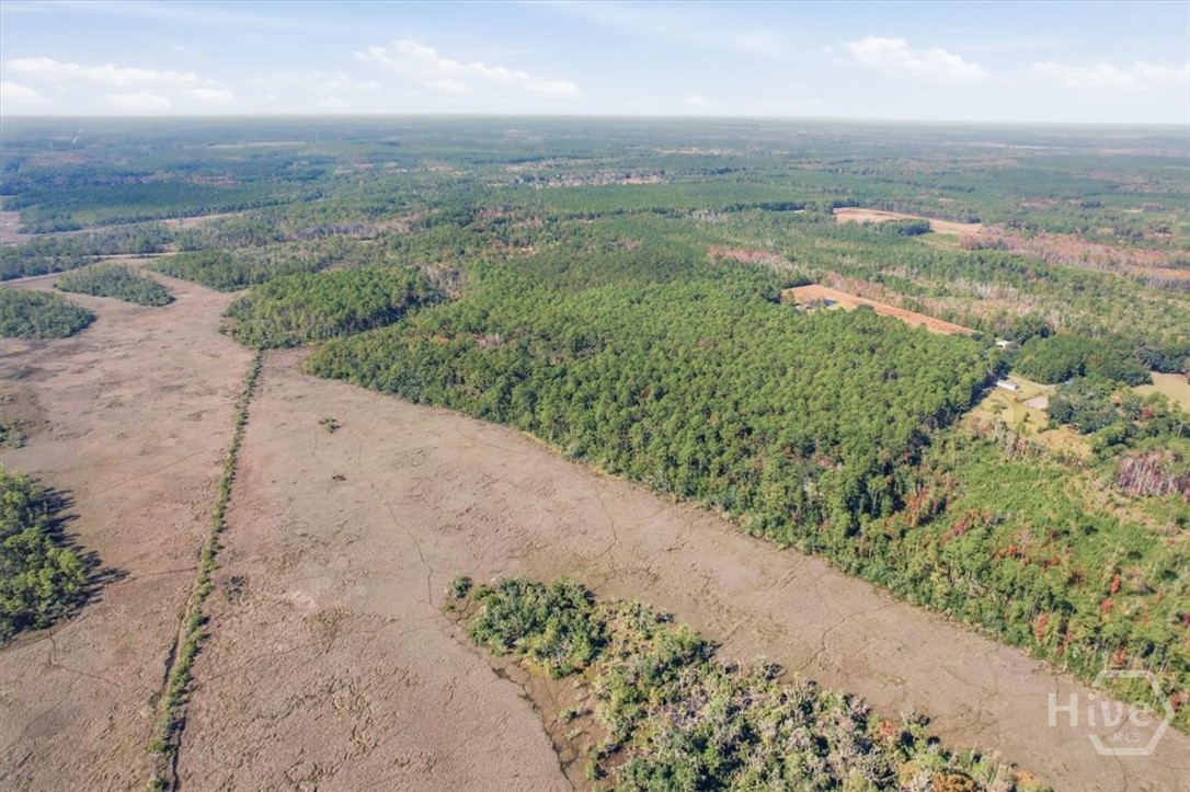 1 Northeast Fair Hope Road Townsend, GA 31331 - Photo 9 of 23