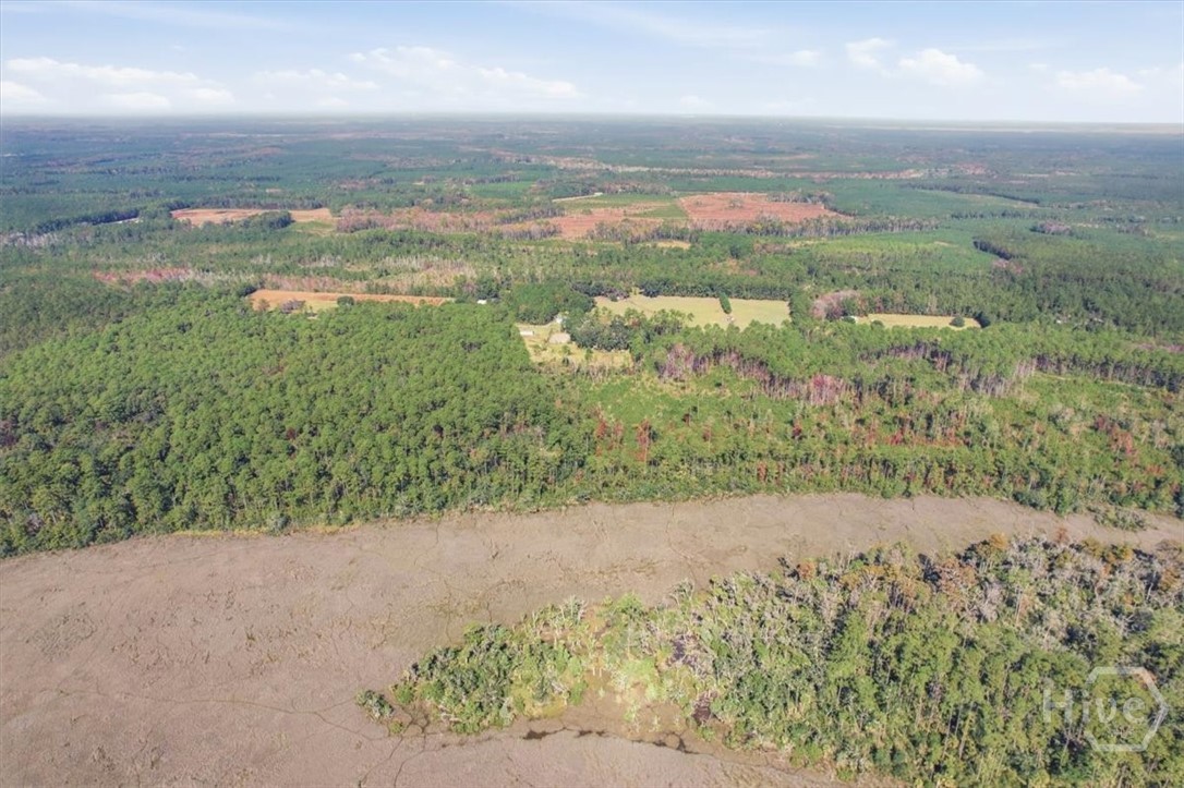 1 Northeast Fair Hope Road Townsend, GA 31331 - Photo 10 of 23