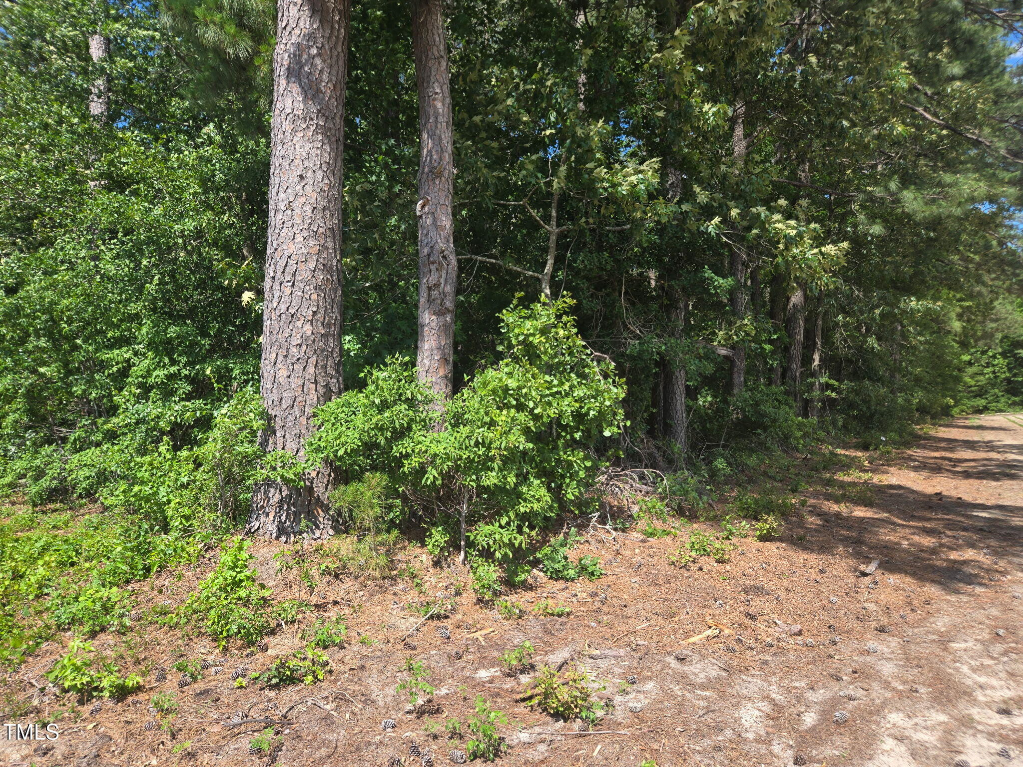 0 Lee-Johnson Road Dunn, NC 28334 - Photo 5 of 15 a backyard of a house with lots of green space