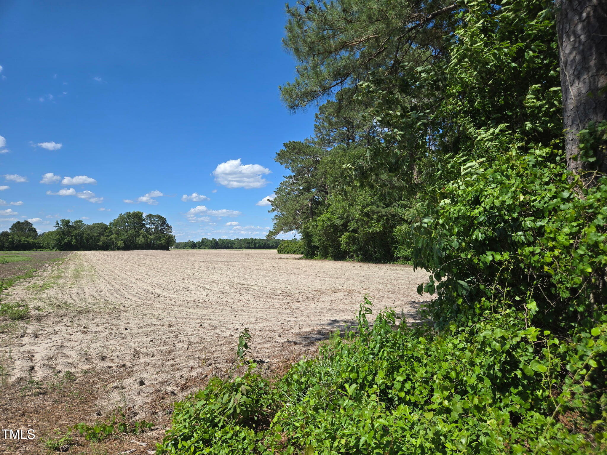 0 Lee-Johnson Road Dunn, NC 28334 - Photo 7 of 15 a view of lake view and mountain view