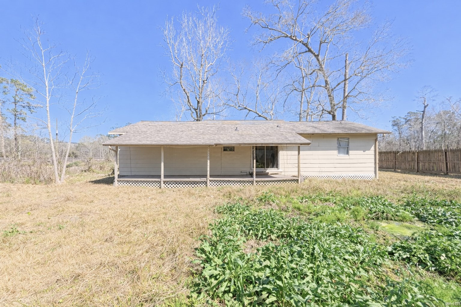 14452 Half Circle Splendora, TX 77372 - Photo 13 of 13 front view of a house with a large trees