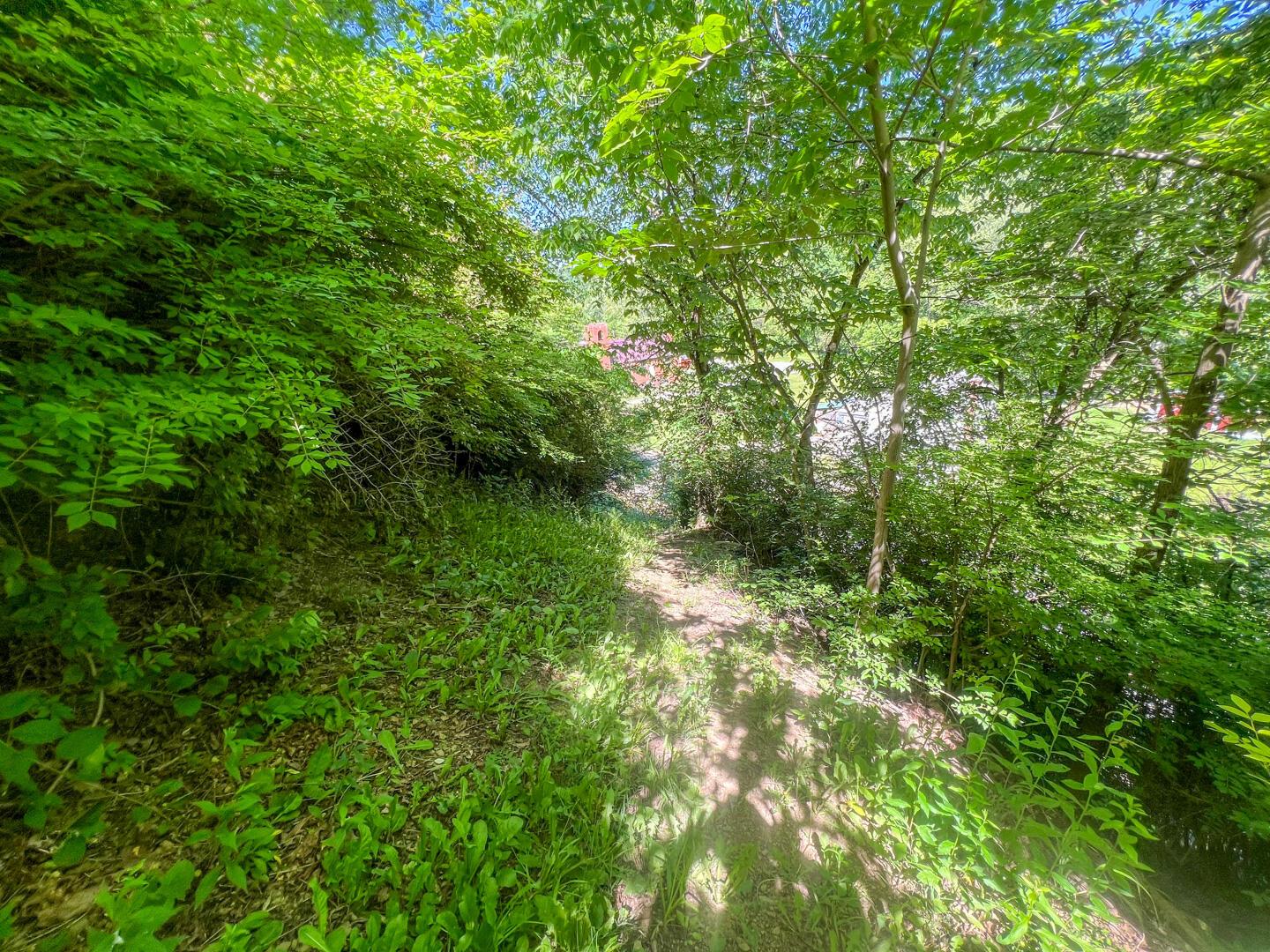 0 Rush Run Road Rayland, OH 43943 - Photo 21 of 24