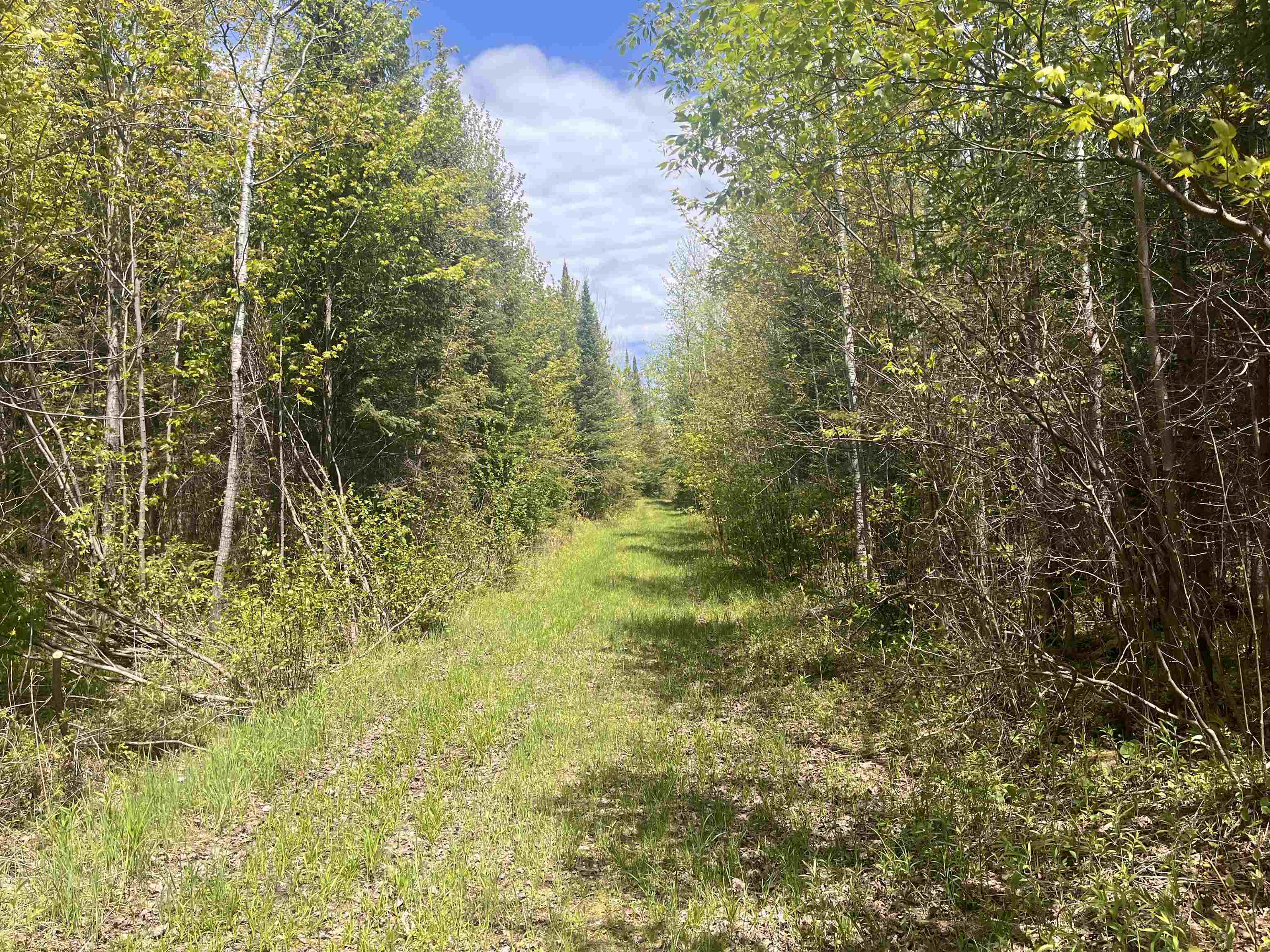 80-acres 80-acres Clausen Road Prentice, WI 54556 - Photo 2 of 17