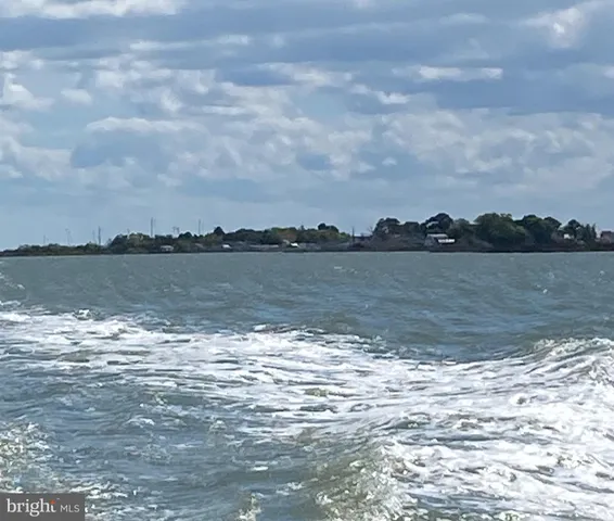 a view of a lake with houses in the back