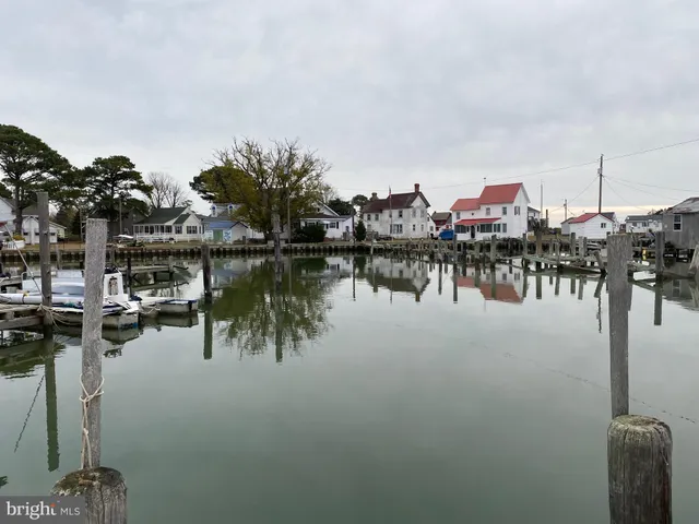 a view of water with boats and trees in the background