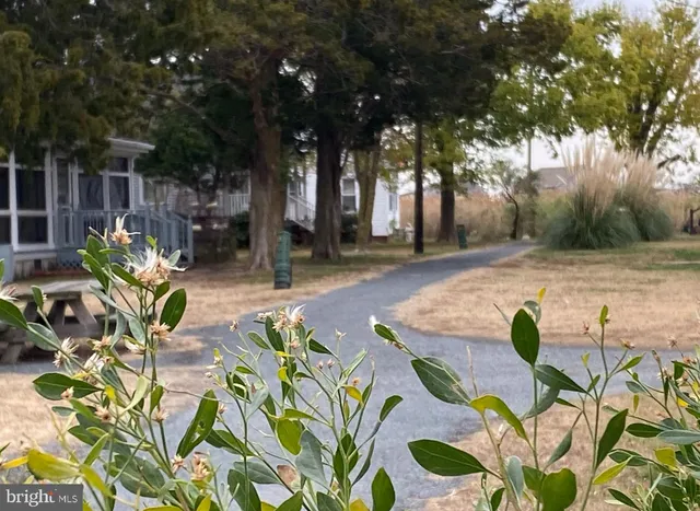 a view of a backyard with sitting area