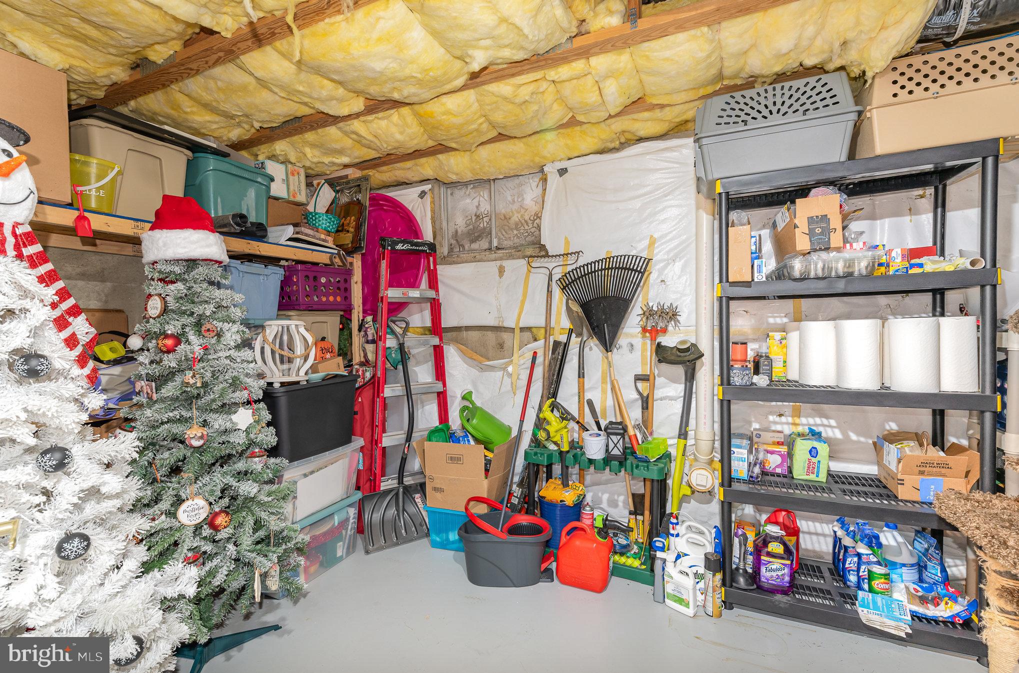 116 Buttonwoods Road Elkton, MD 21921 - Photo 13 of 20 Basement Storage