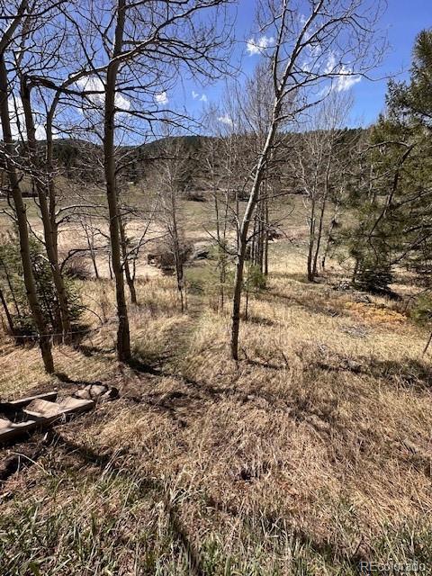 7510 South Blue Creek Road Evergreen, CO 80439 - Photo 42 of 44
