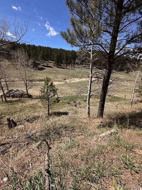 7510 South Blue Creek Road Evergreen, CO 80439 - Photo 43 of 44