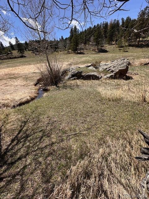 7510 South Blue Creek Road Evergreen, CO 80439 - Photo 44 of 44