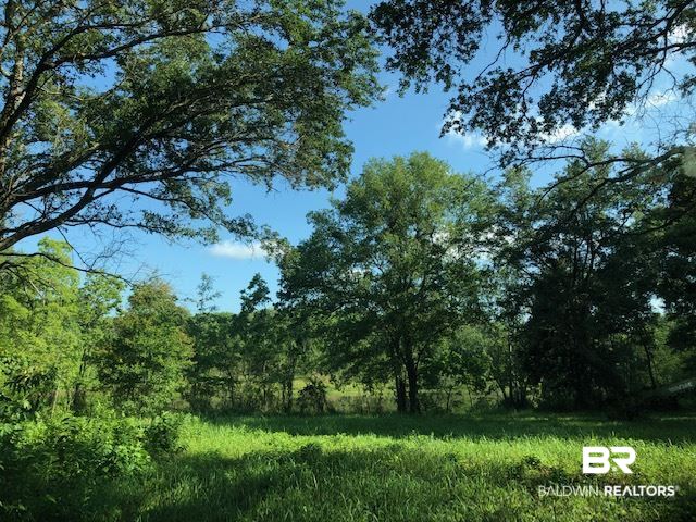 0 Beasley Road Foley, AL 36535 - Photo 28 of 29