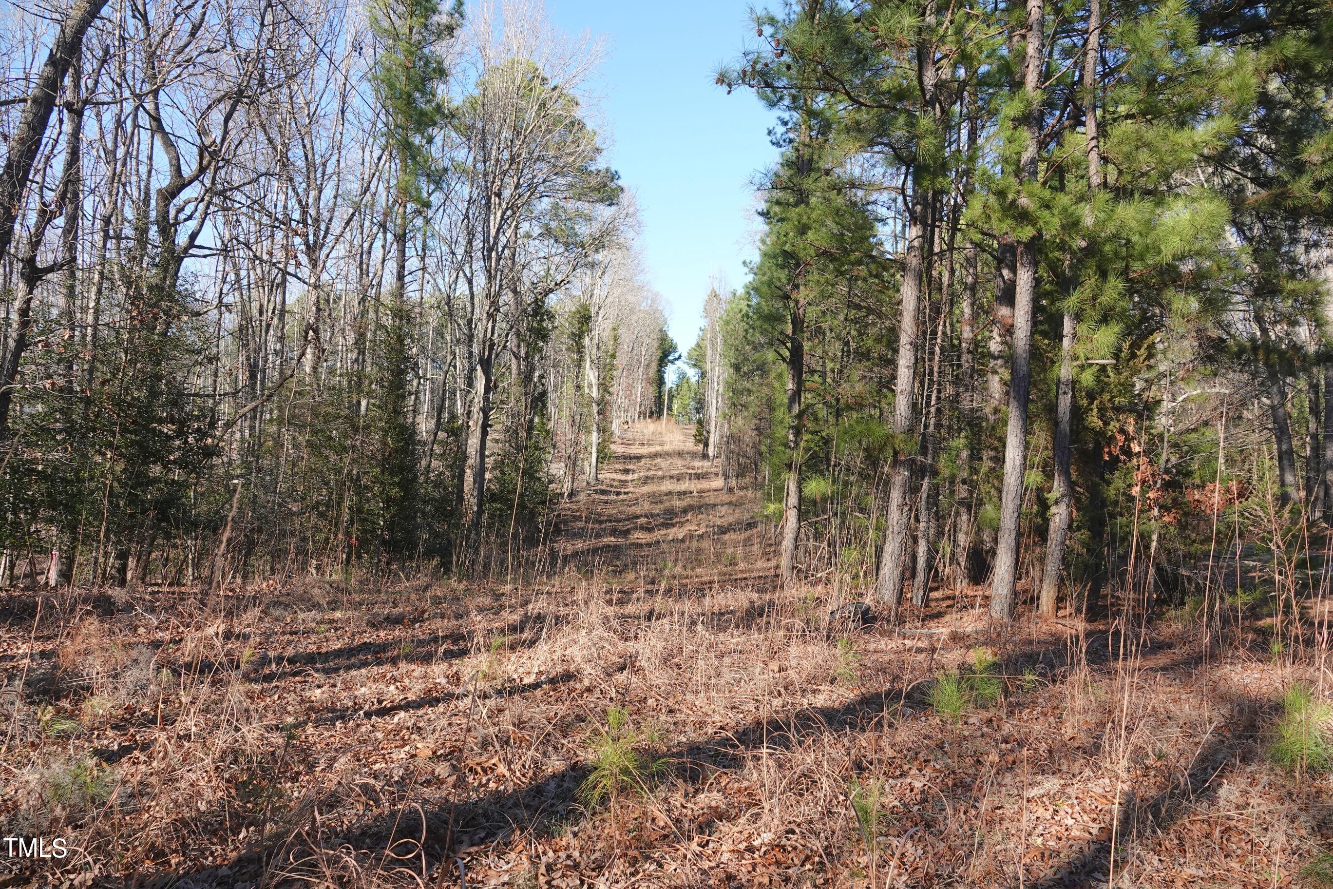 0 Fire Tower Road Pittsboro, NC 27312 - Photo 2 of 7 a backyard of a house with lots of green space