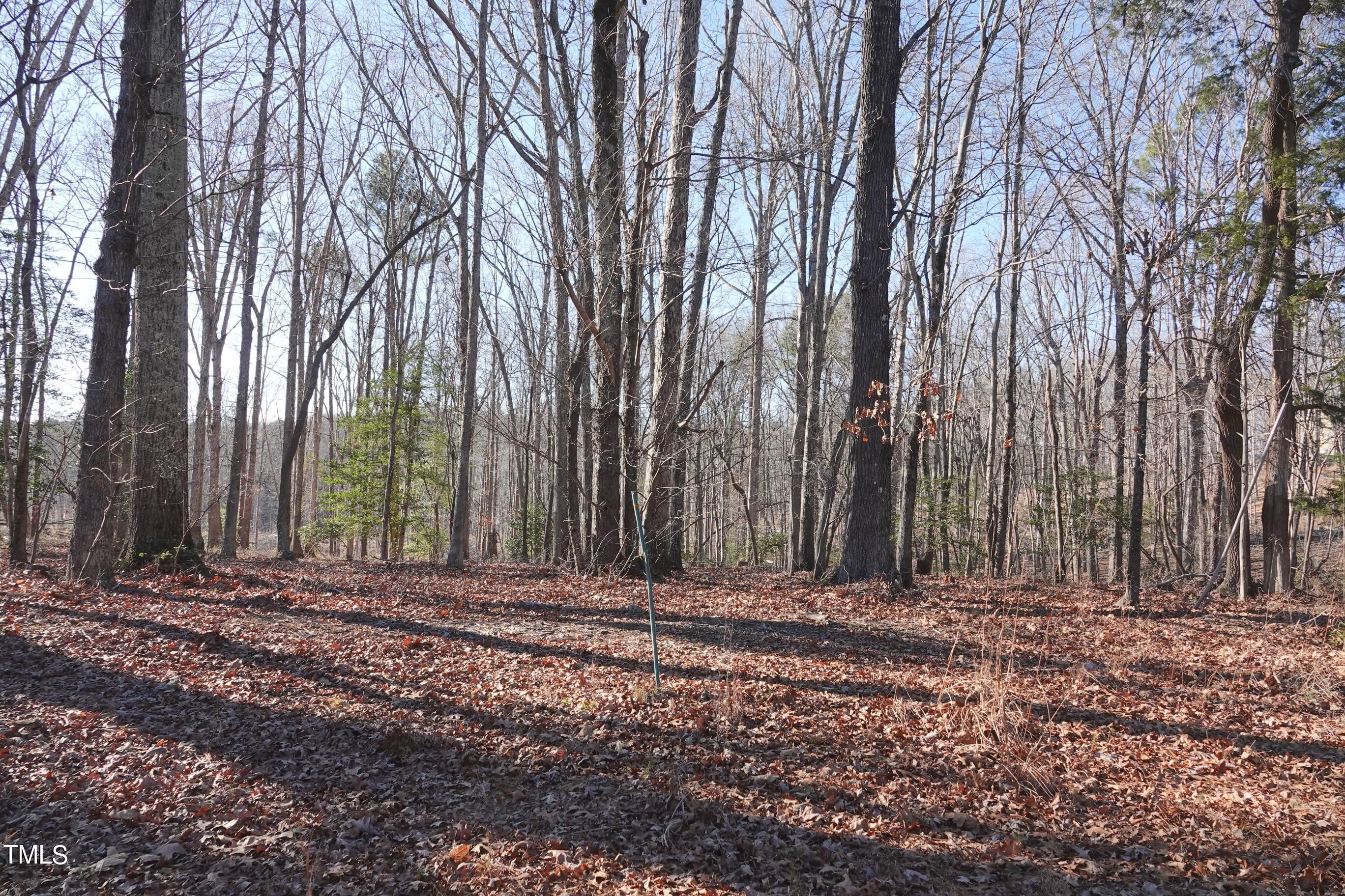 0 Fire Tower Road Pittsboro, NC 27312 - Photo 3 of 7 a view of large trees with tree in the background