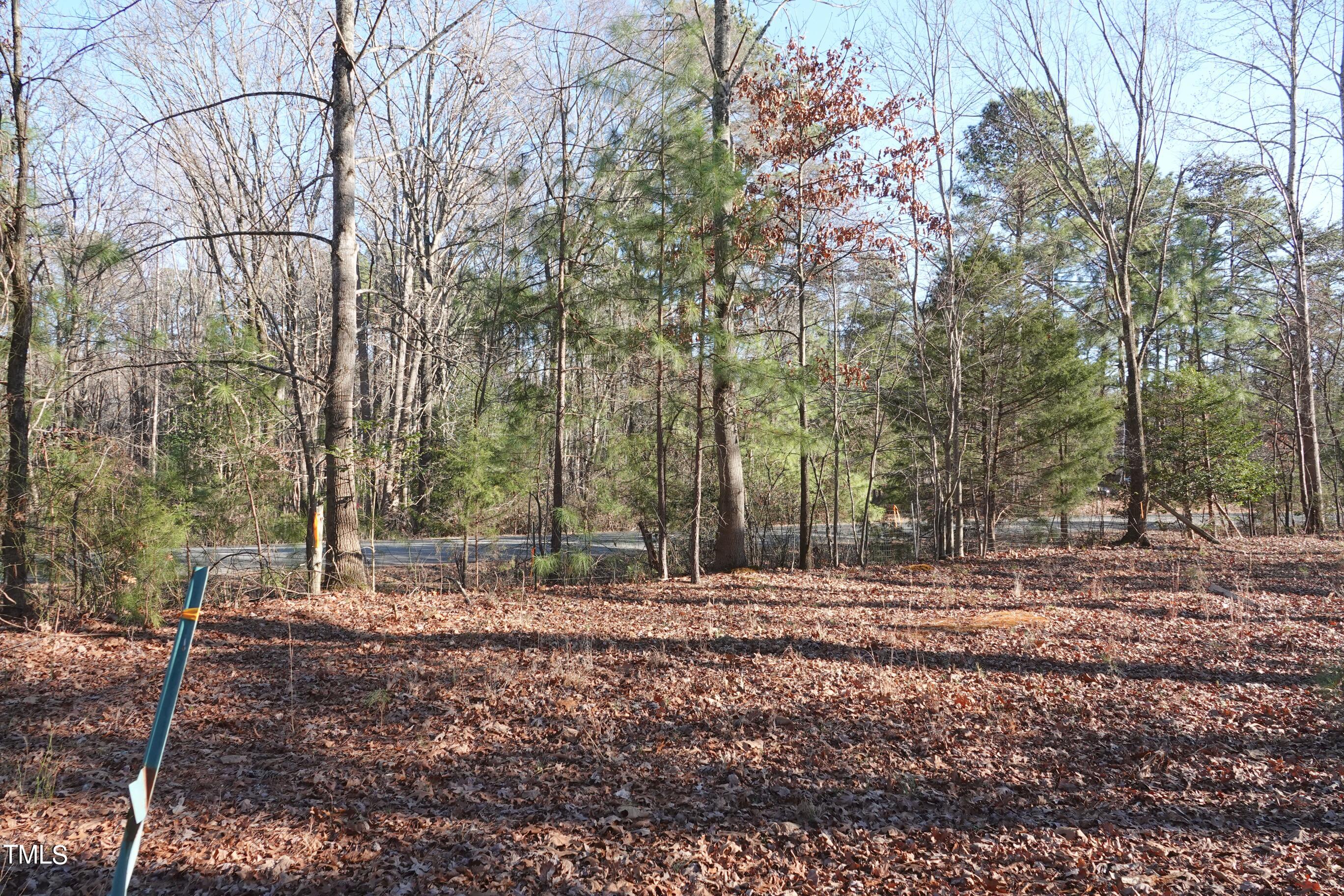 0 Fire Tower Road Pittsboro, NC 27312 - Photo 4 of 7 a backyard of a house with lots of green space